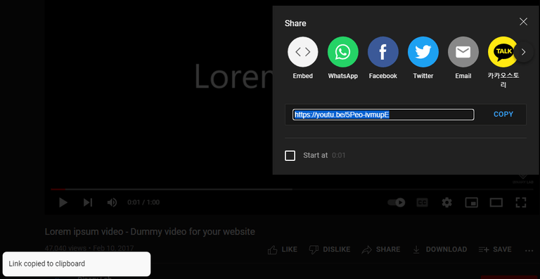 video youtube en wordpress